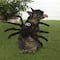 Spider Dog Costume by Ashland®